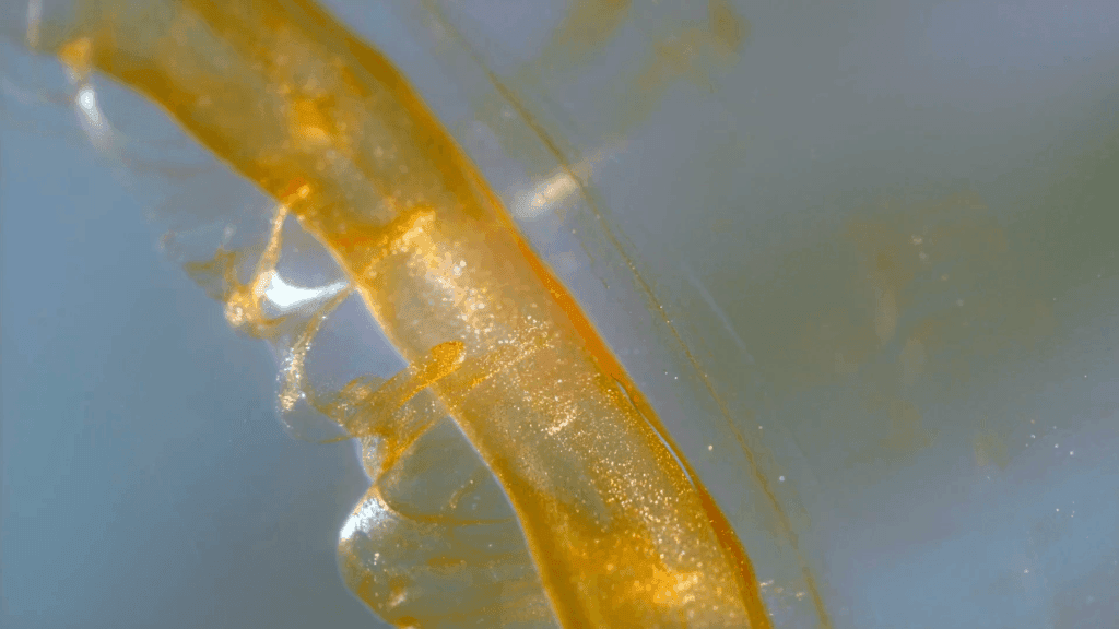 From &quot;Legend&quot; by Roman De Giuli.