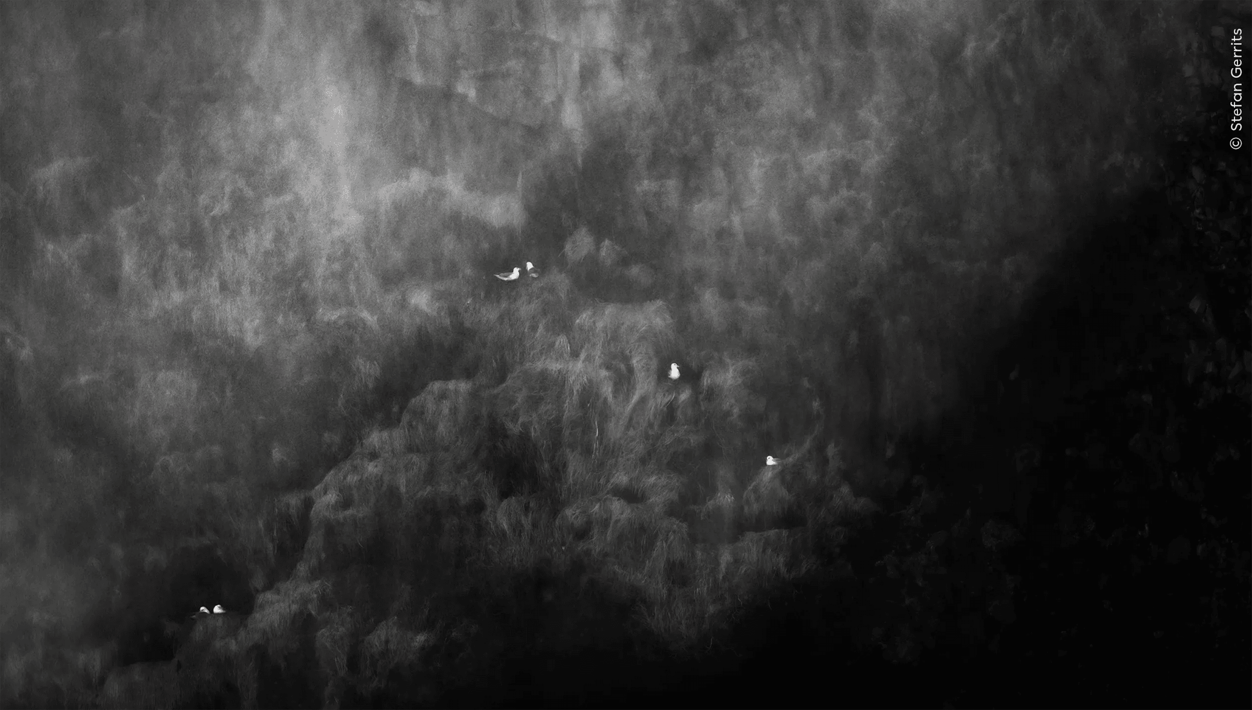 "Legends of the Falls" by Stefan Gerrits.