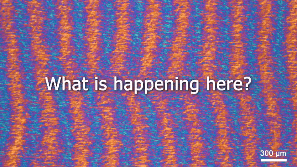 Alternating vertical bands of orange and blue in a liquid crystal flowing from left to right. Text reads: "What is happening here?" Alternating vertical bands of orange and blue in a liquid crystal flowing from left to right. Text reads: "What is happening here?"