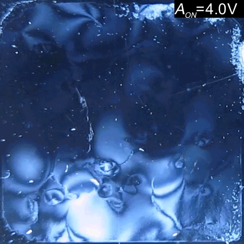 Traveling waves and other wave patterns form in this liquid crystal as the voltage applied to it increases.