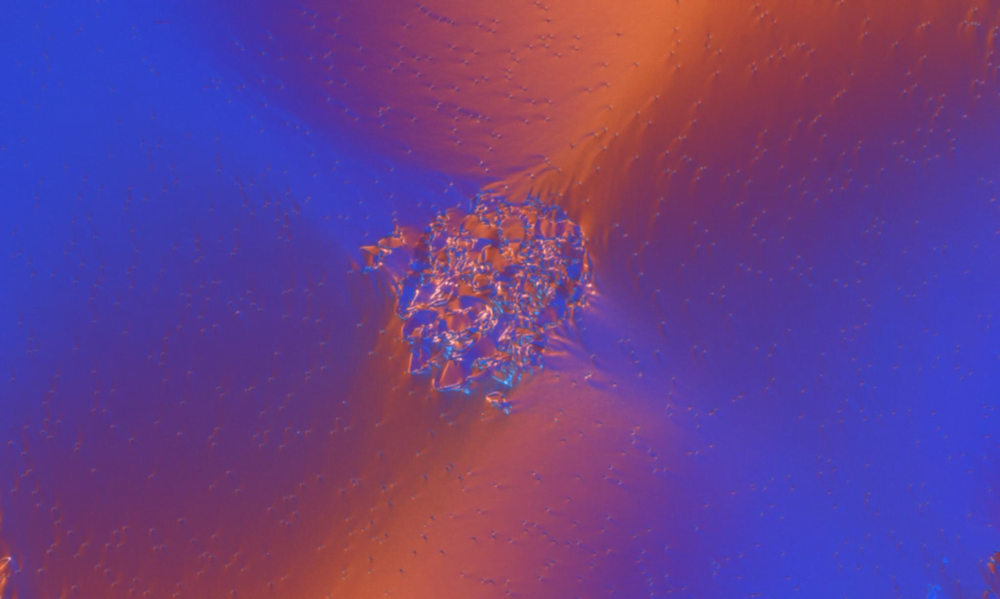 Waves in Liquid Crystals