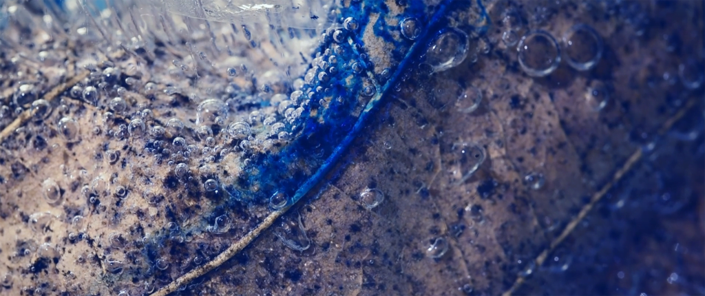 From "Lively" by Christopher Dormoy. From "Lively" by Christopher Dormoy.