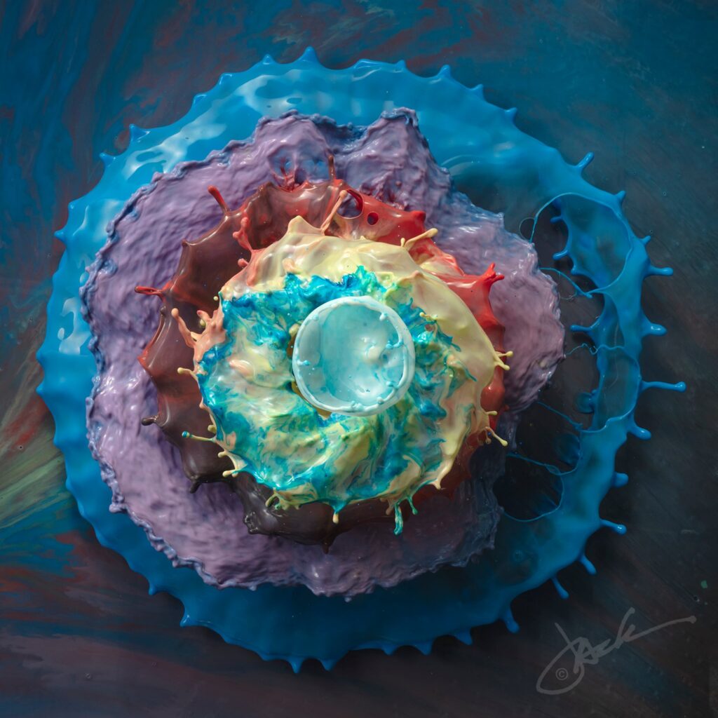 Photo by Jack Long. Photo by Jack Long.