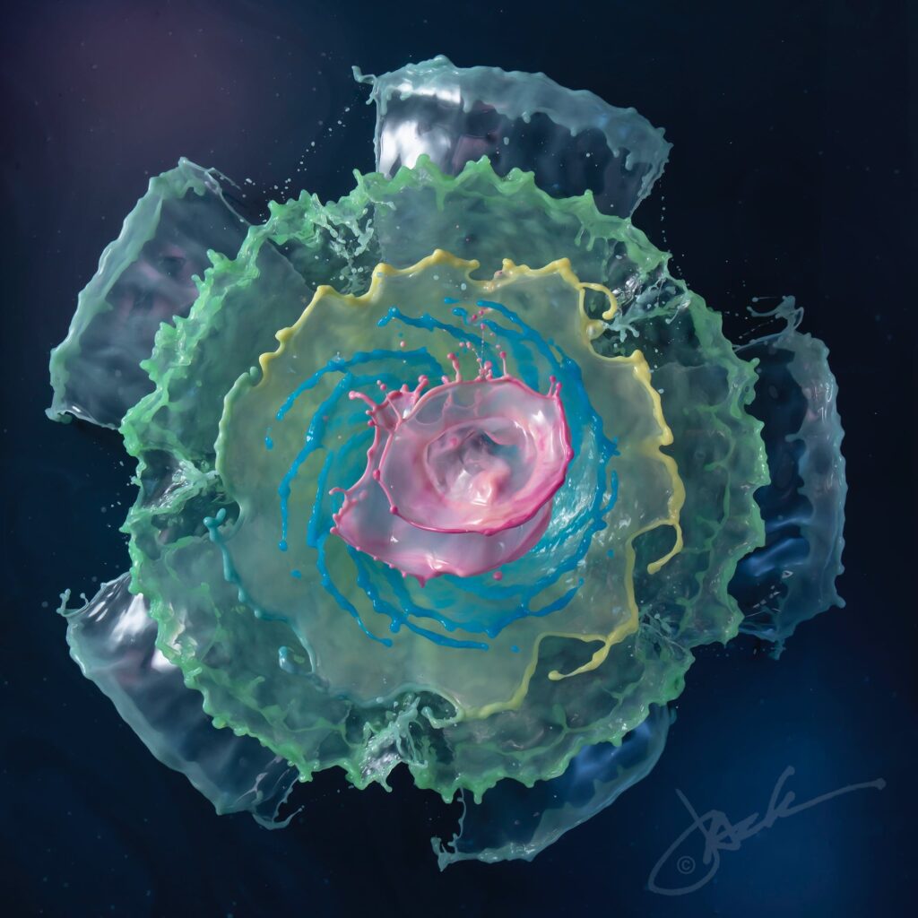 Photo by Jack Long. Photo by Jack Long.