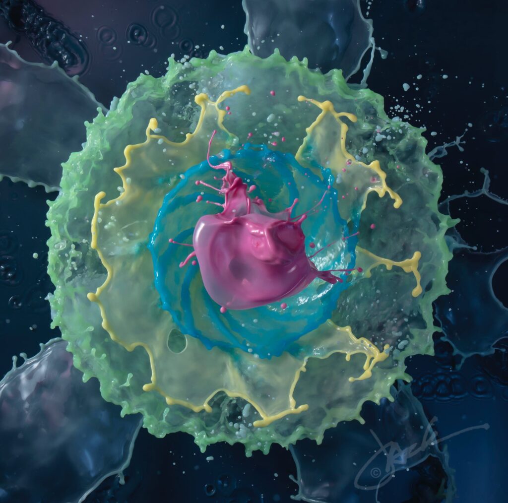 Photo by Jack Long. Photo by Jack Long.