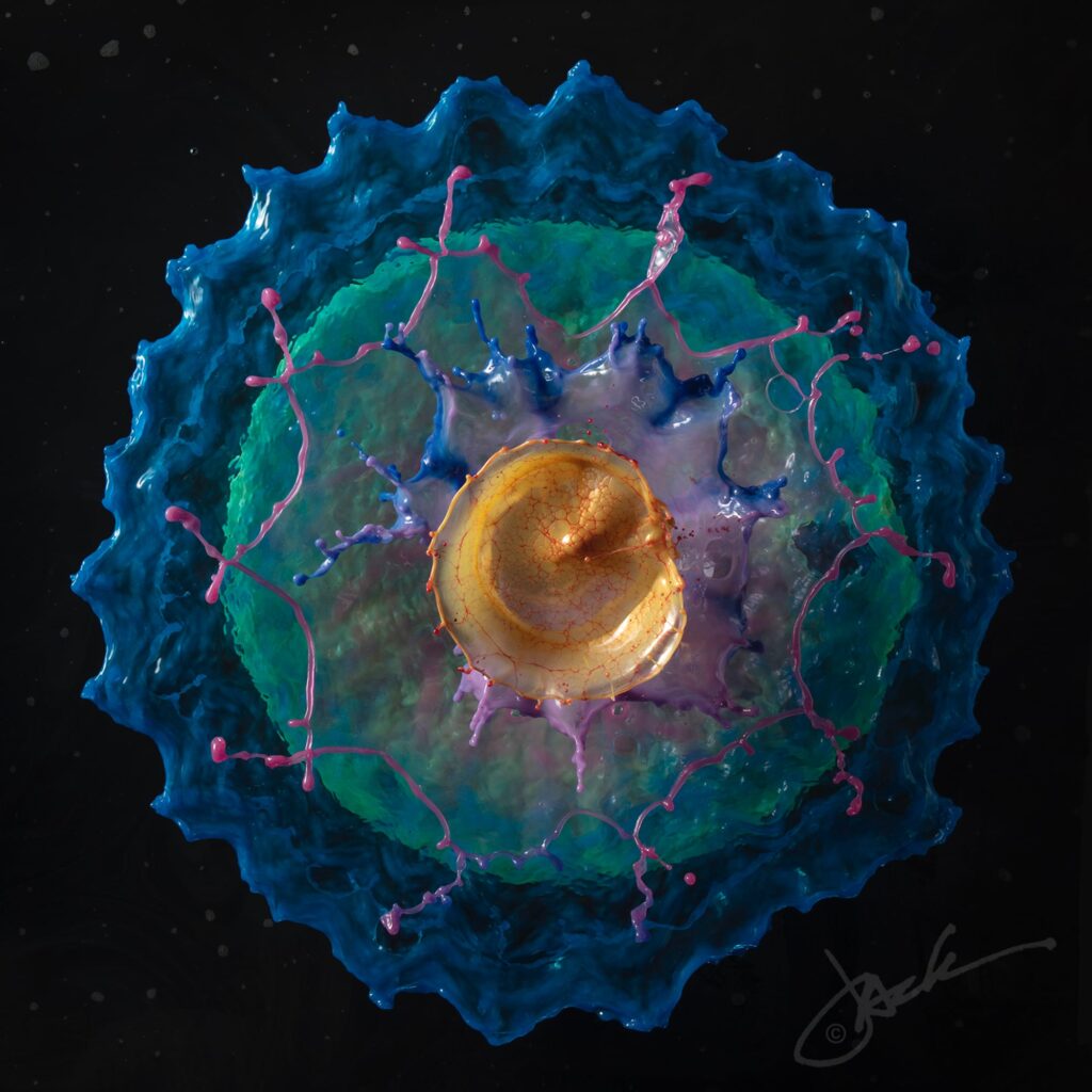 Photo by Jack Long. Photo by Jack Long.