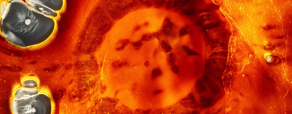 From "Lucid" by Roman Hill. From "Lucid" by Roman Hill.