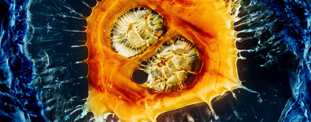 From "Lucid" by Roman Hill. From "Lucid" by Roman Hill.