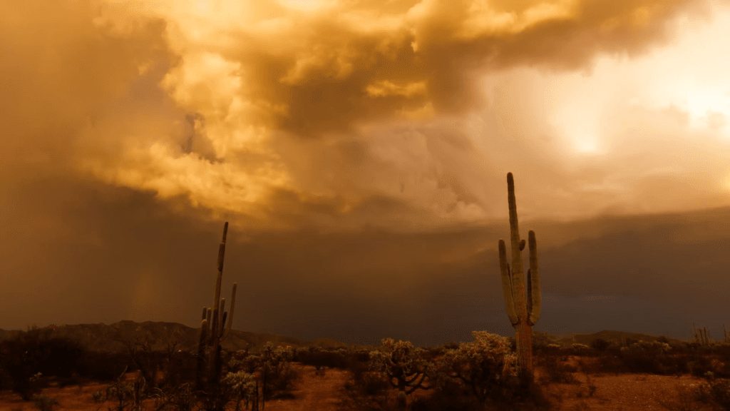 From "Monsoon 7" by Mike Olbinski. From "Monsoon 7" by Mike Olbinski.