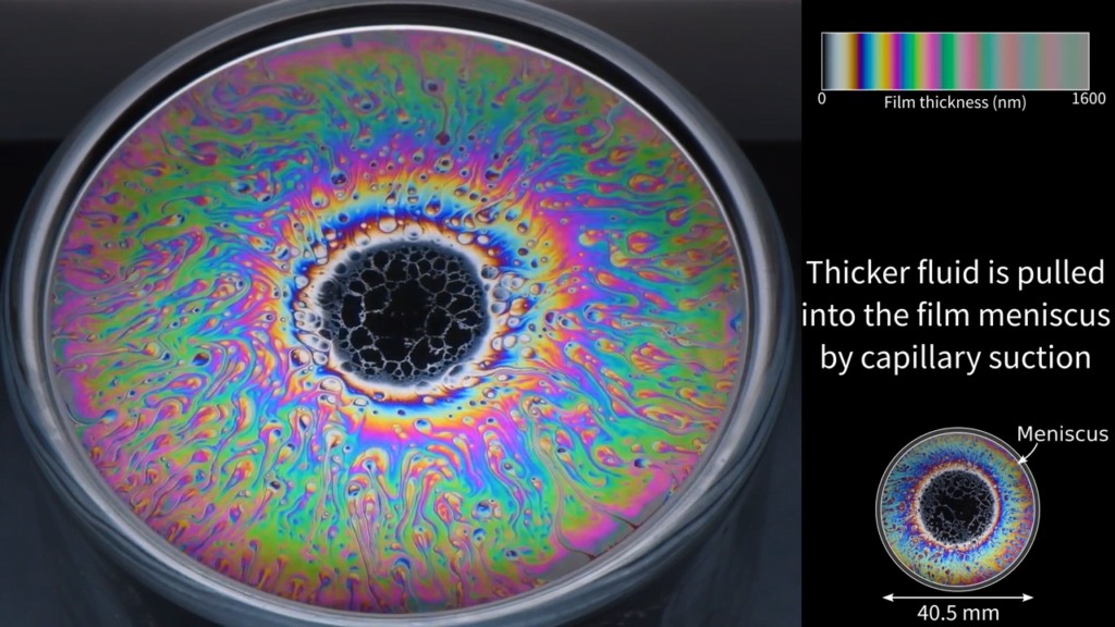 Soap films naturally thin due to evaporation and capillary motion that pulls fluid toward thicker areas. Soap films naturally thin due to evaporation and capillary motion that pulls fluid toward thicker areas.