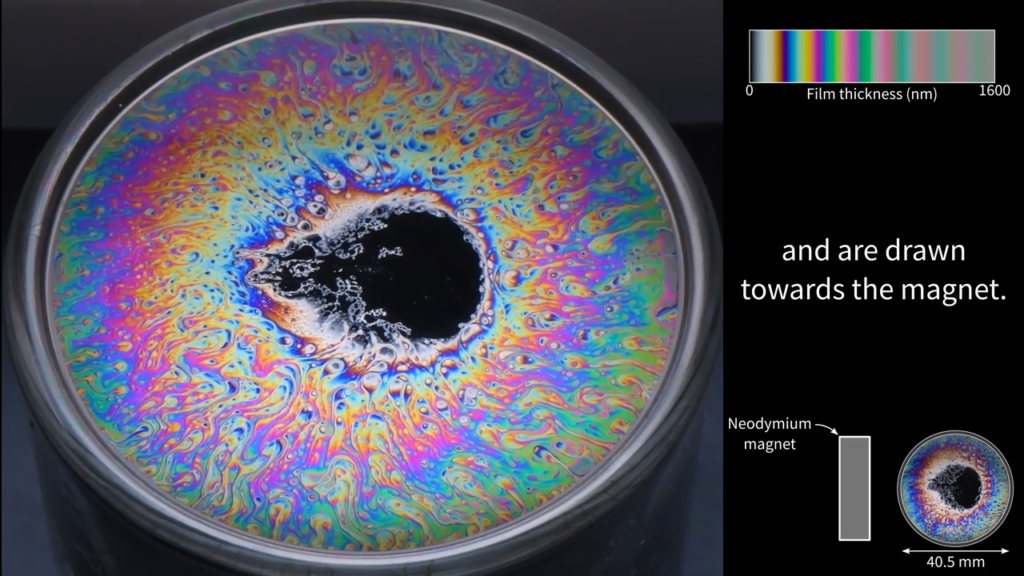 Here, magnetic particles have been added. They appear white and are drawn toward the (unseen) magnet on the left side of the frame. Here, magnetic particles have been added. They appear white and are drawn toward the (unseen) magnet on the left side of the frame.