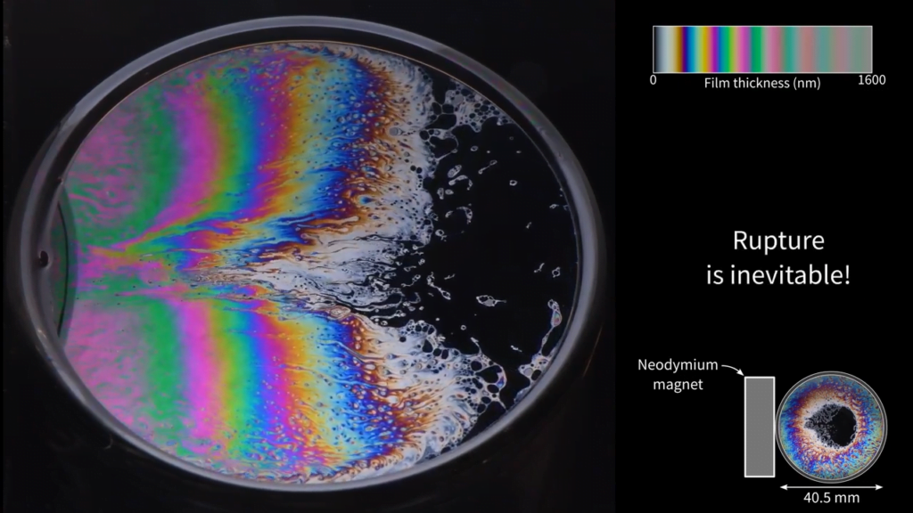 With even more magnetic particles, the whole film takes on a clear variation in thickness from left to right. With even more magnetic particles, the whole film takes on a clear variation in thickness from left to right.