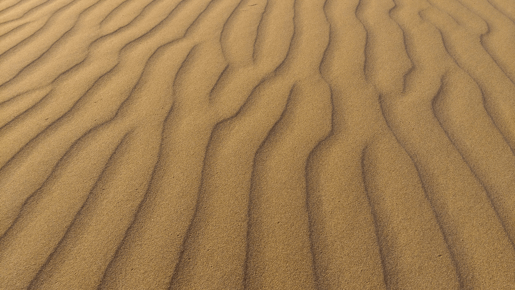 What Makes a Dune?