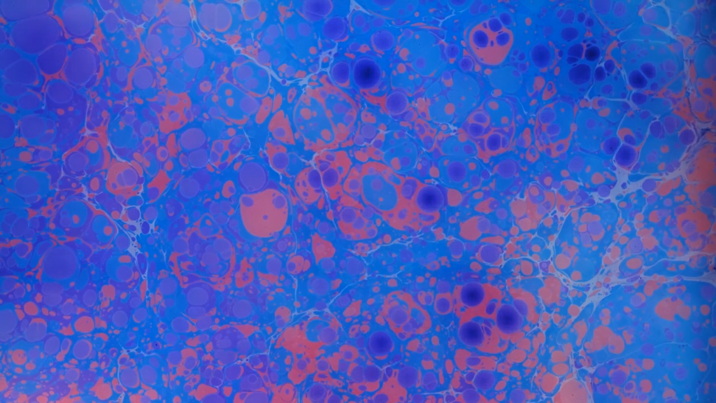 The art of marbling developed in many cultures and is often used to decorate the interior covers of books. The art of marbling developed in many cultures and is often used to decorate the interior covers of books.