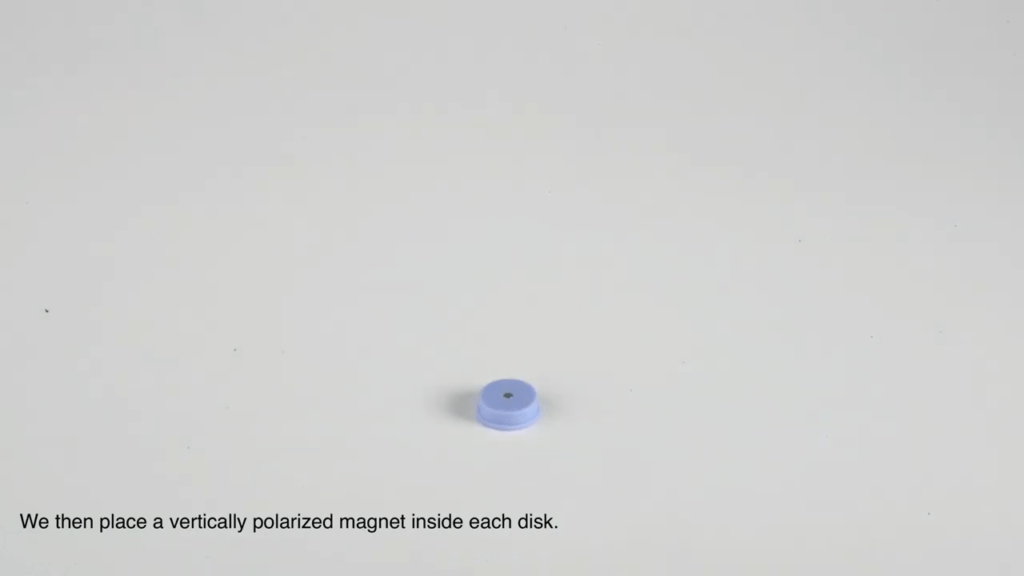 These little disks contain a polarized magnet. These little disks contain a polarized magnet.