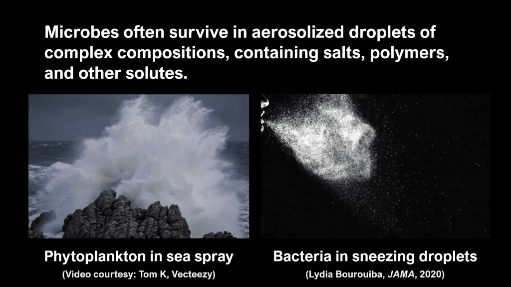 Images of ocean spray and sneezing, showing how microbes can get aerosolized in particles. Text reads, "Microbes often survive in aerosolized droplets of complex compositions, containing salts, polymers, and other solutes."
