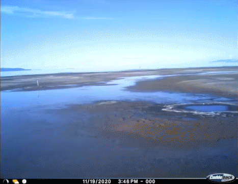 A timelapse showing mirabilite mounds forming.
