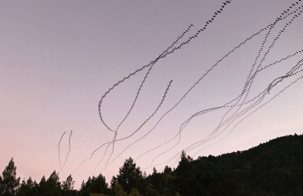 “Lockdown Crows (Evening Commute)” “Lockdown Crows (Evening Commute)”