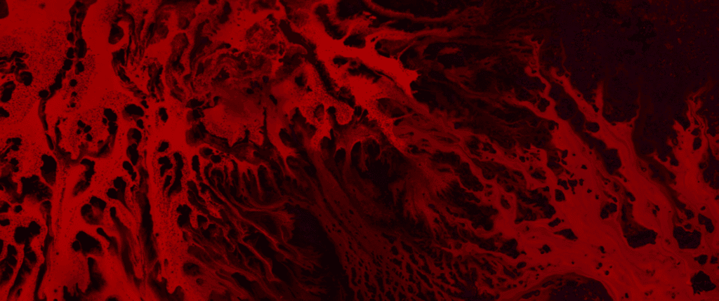 Image from &quot;Momentum&quot; by Vadim Sherbakov.