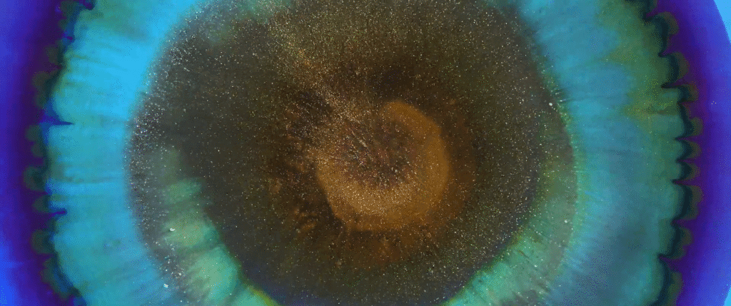 Image from &quot;Momentum&quot; by Vadim Sherbakov.