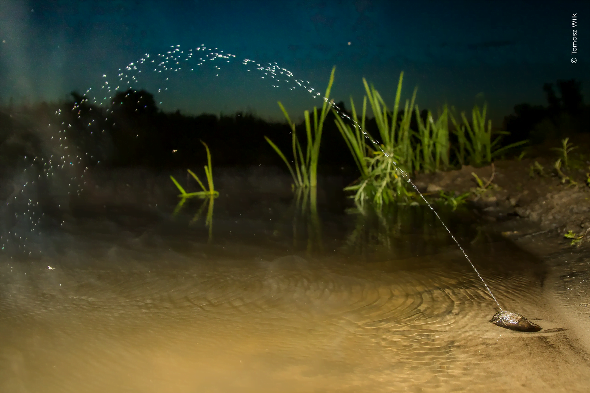 “Spitting Out Water Babies”