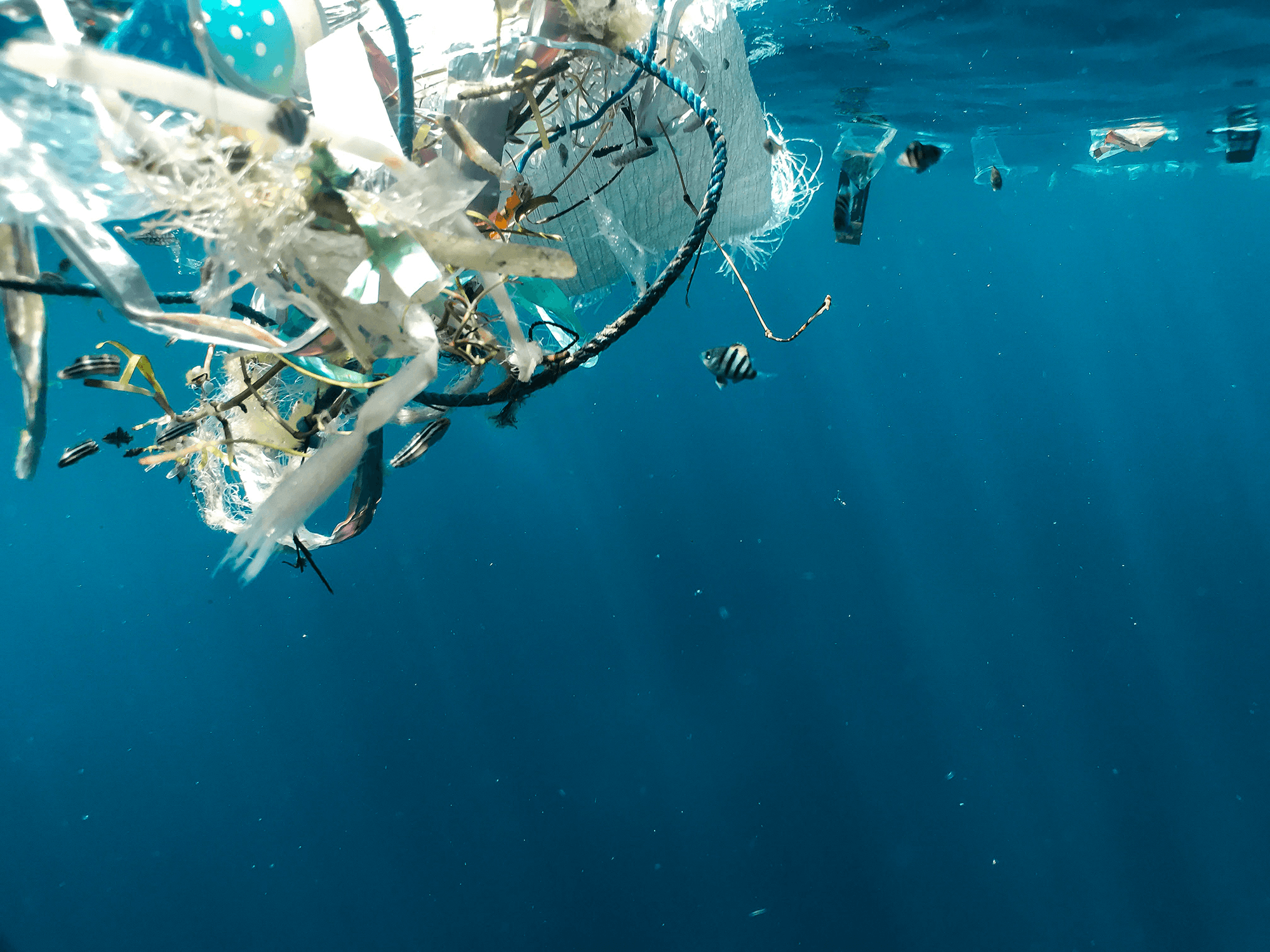 Where Waves Carry Plastics
