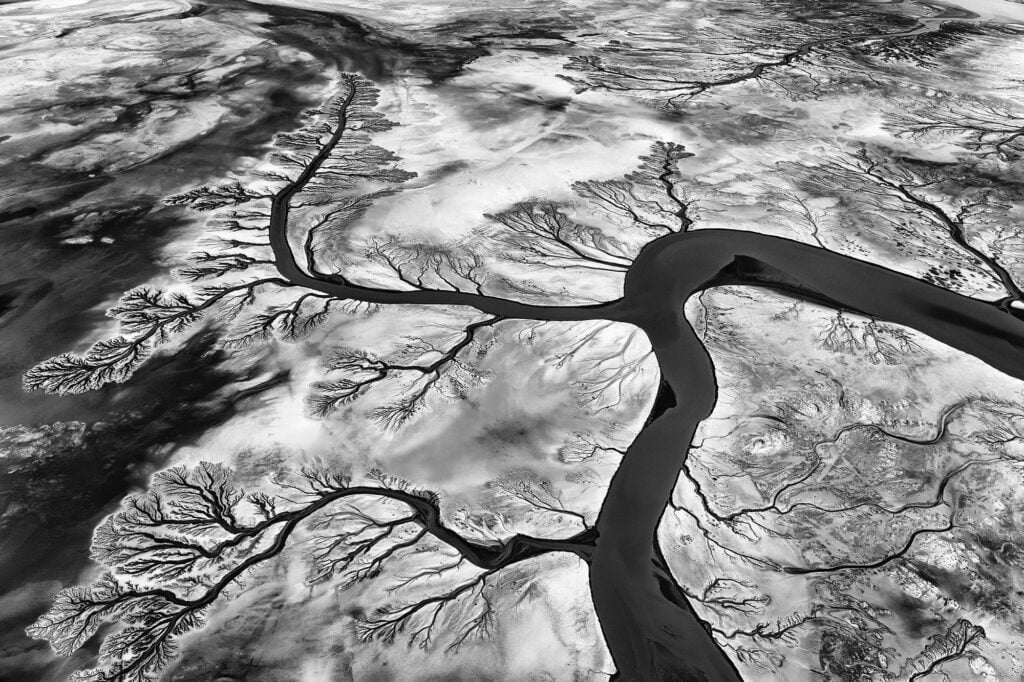 "Arterial Poetry" by Paul Nicklen. "Arterial Poetry" by Paul Nicklen.