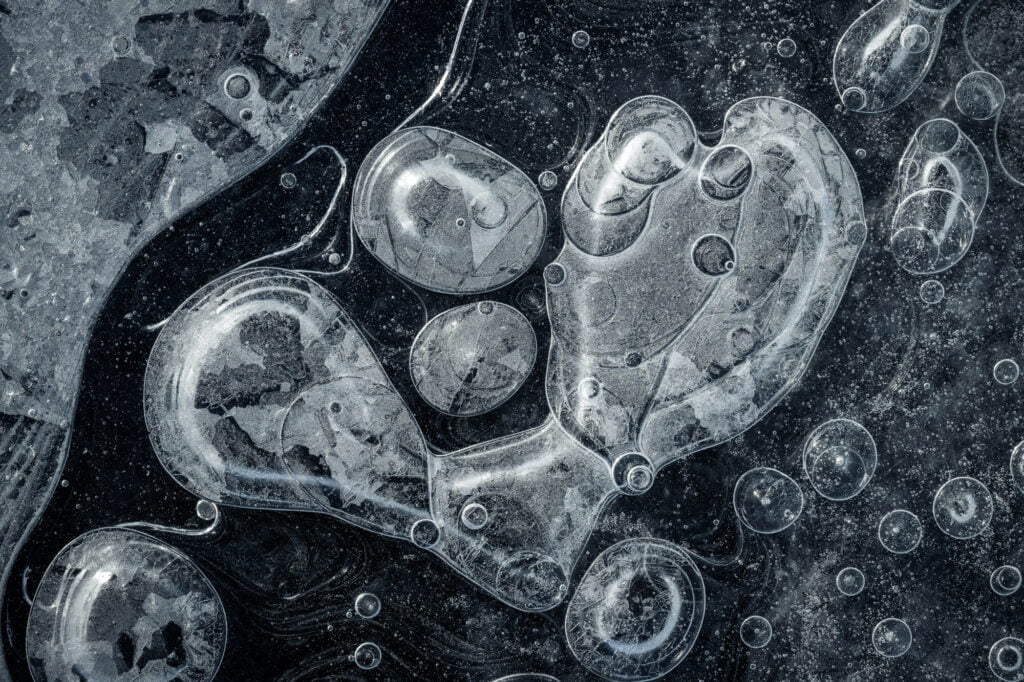 Photo by Jan Erik Waider. Photo by Jan Erik Waider.