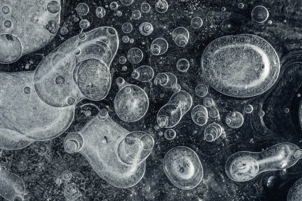 Photo by Jan Erik Waider. Photo by Jan Erik Waider.