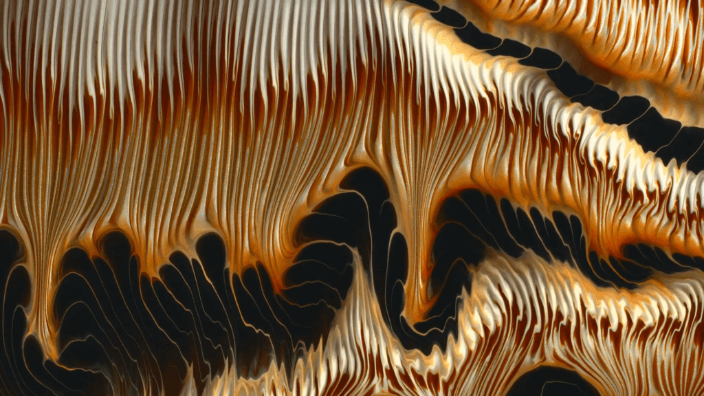 Abstract fluid flow "One" by Roman De Giuli. Abstract fluid flow "One" by Roman De Giuli.