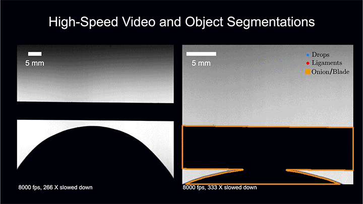 Video of droplets sprayed as a knife cuts into an onion.