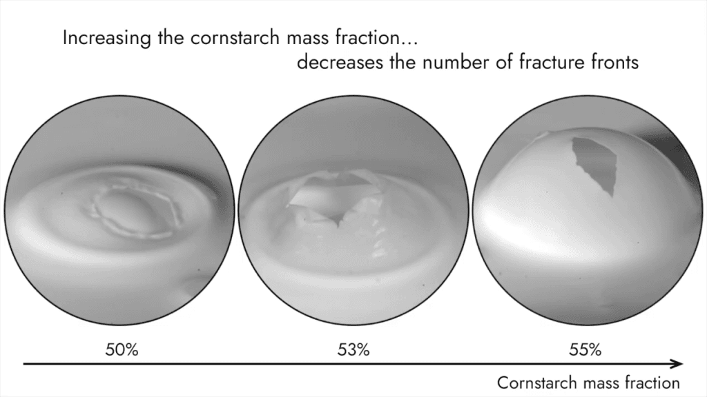 Three images showing the changes in a bubble's burst pattern as the mass fraction of cornstarch increases from 50% to 55%. Text reads, "Increasing the cornstarch mass fraction... decreases the number of fracture fronts"