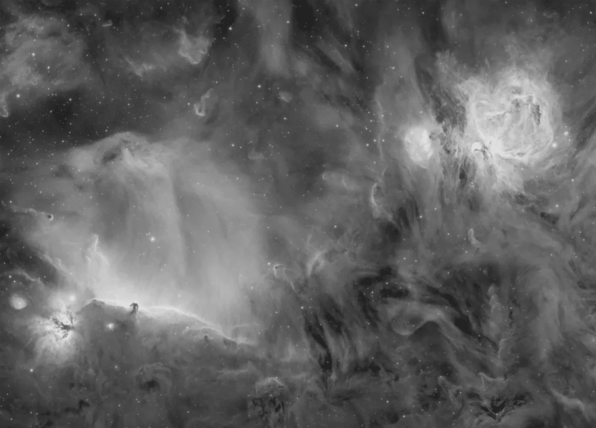 Black and white image of nebulae, including Orion and the Horsehead.