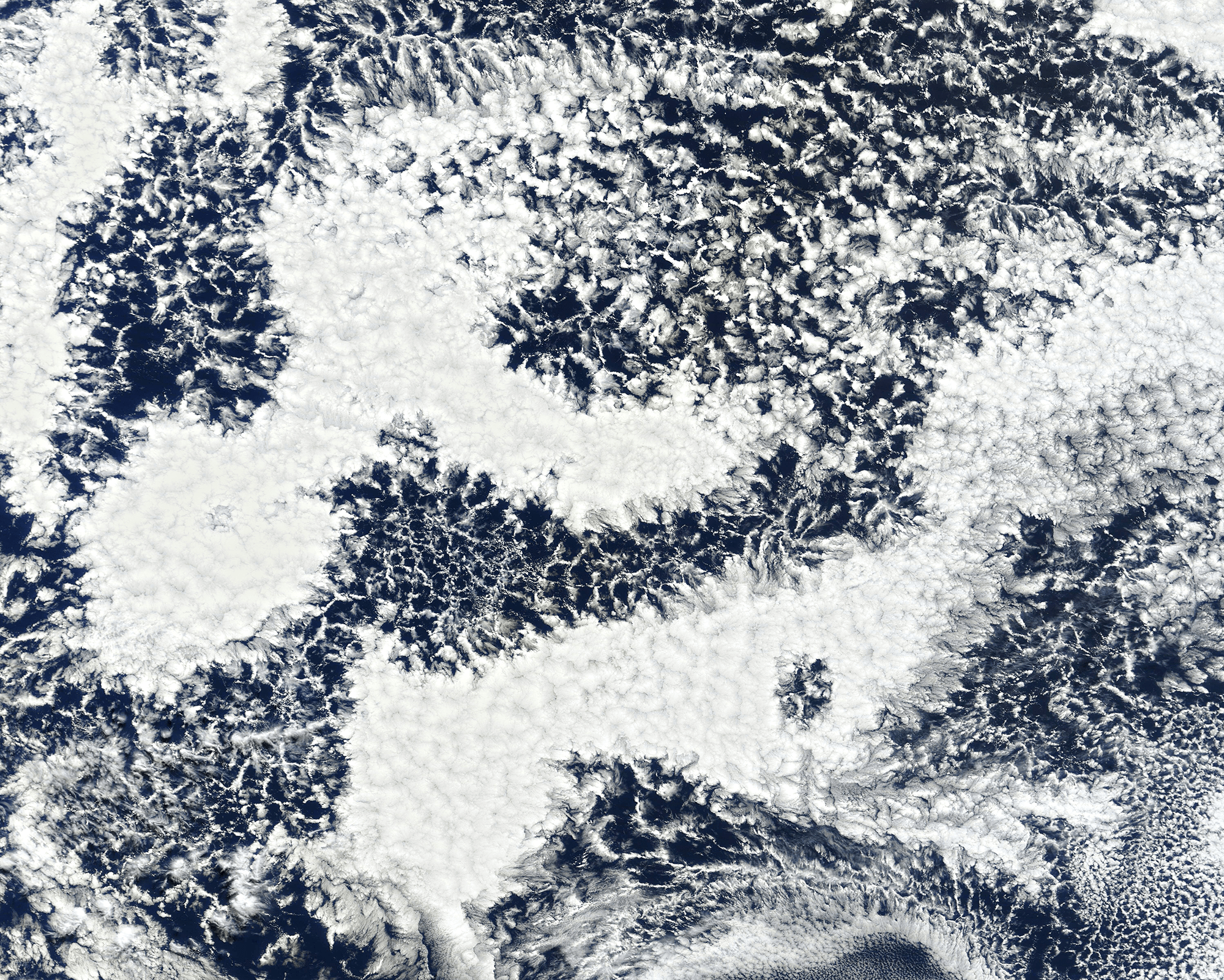 Satellite image of open- and closed-cell clouds over the ocean.