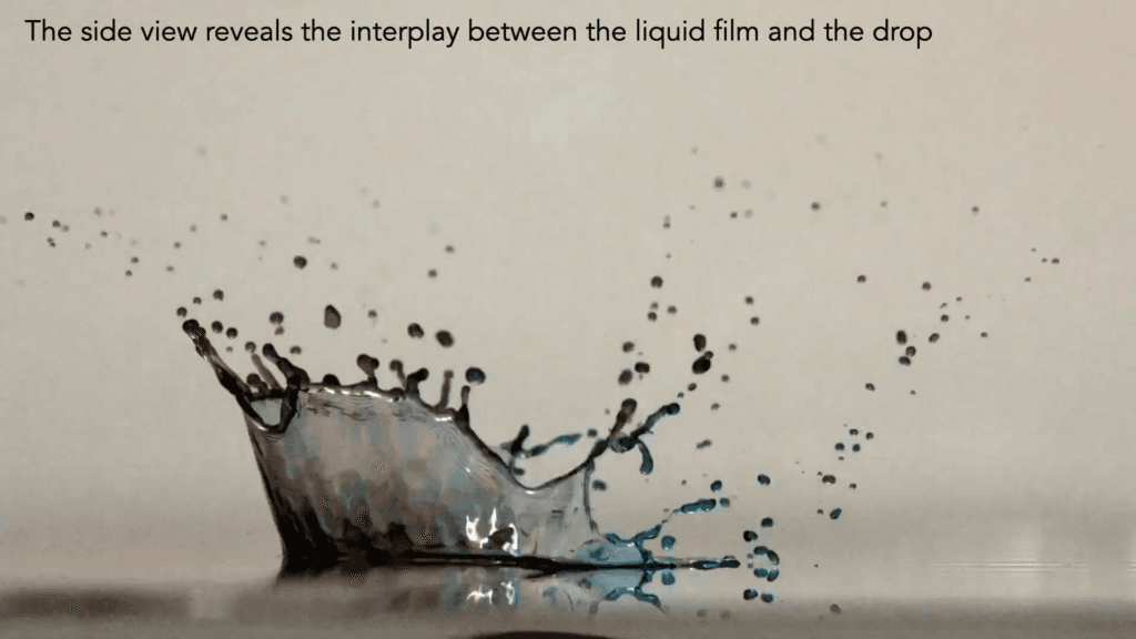 A side-view of a similar impact shows a small blue portion of the corona splash and a much larger purple one. Text reads: "The side view reveals the interplay between the liquid film and the drop" A side-view of a similar impact shows a small blue portion of the corona splash and a much larger purple one. Text reads: "The side view reveals the interplay between the liquid film and the drop"