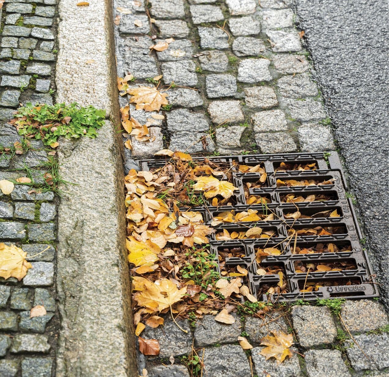 A clogged grate over a storm drain can result in flooding.