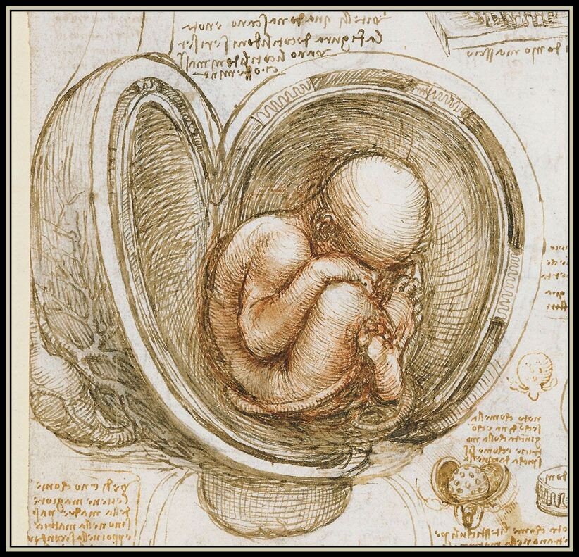 Disease and Placental Flows