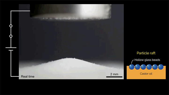 Glass beads floating on a pool of castor oil lift and deform when an electric field is applied. Glass beads floating on a pool of castor oil lift and deform when an electric field is applied.