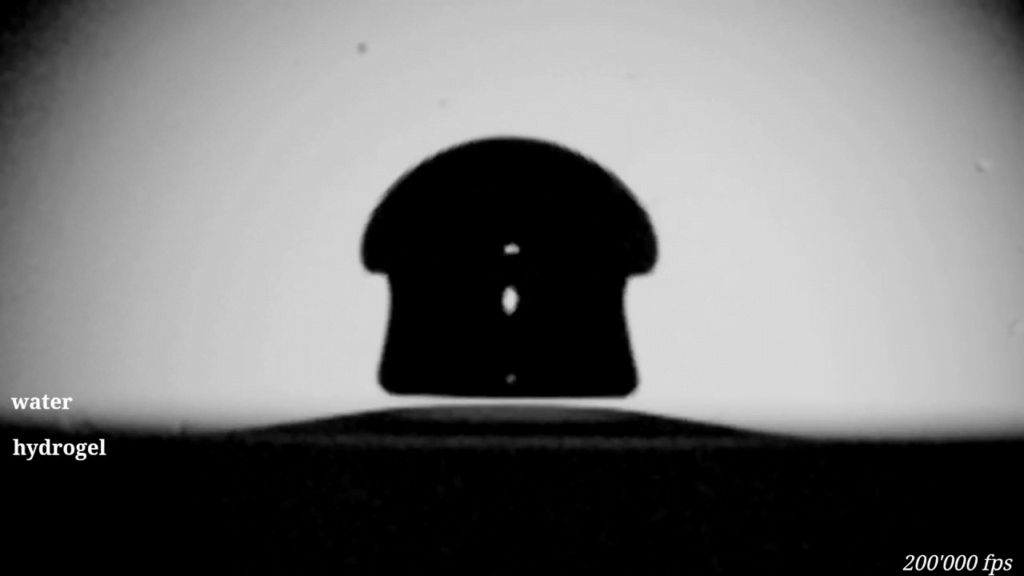 Near a hydrogel surface, cavitation bubbles take on a mushroom shape.