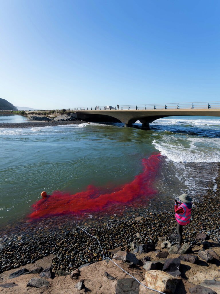 A research oversees the release of (non-toxic) dye in a freshwater estuary near the beach. A research oversees the release of (non-toxic) dye in a freshwater estuary near the beach.