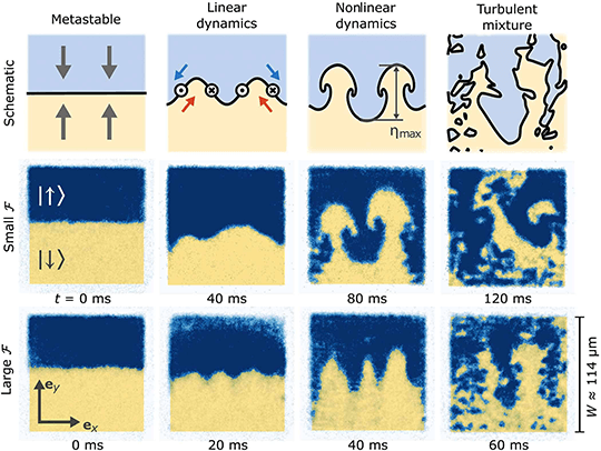 Quantum Rayleigh-Taylor Instability