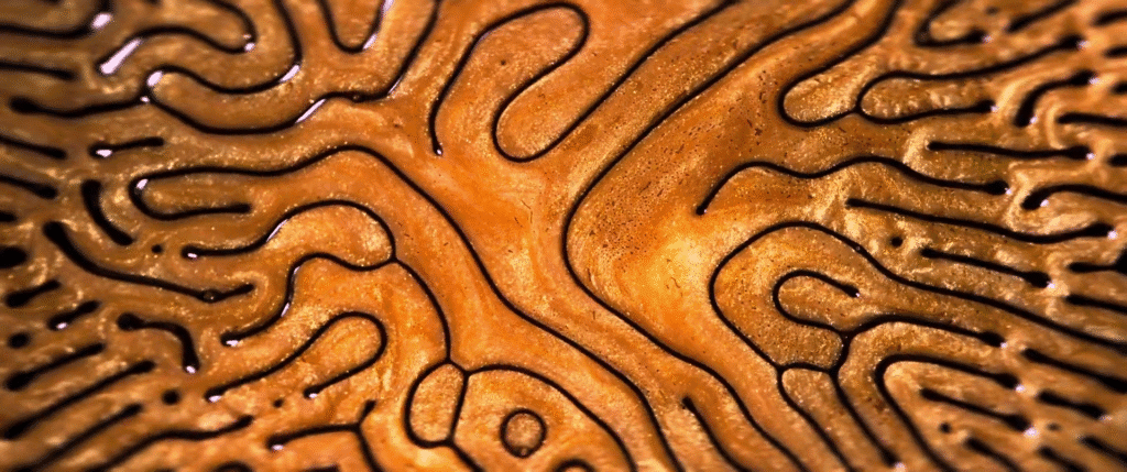 Image from &quot;Re:Birth&quot; by Vadim Sherbakov.