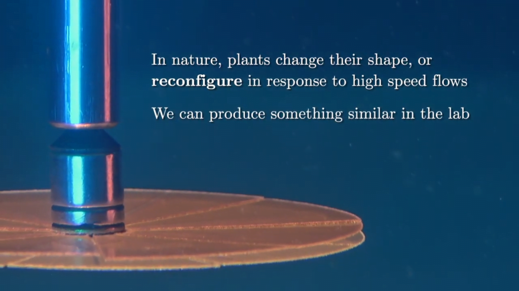 "In nature, plants change their shape, or reconfigure in response to high speed flows. We can produce something similar in the lab." "In nature, plants change their shape, or reconfigure in response to high speed flows. We can produce something similar in the lab."