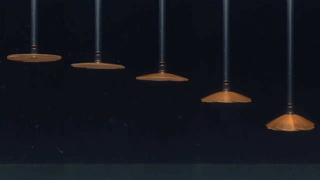 Depending on the elasticity of the disk and the speed of the flow, disks may reconfigure dramatically. Depending on the elasticity of the disk and the speed of the flow, disks may reconfigure dramatically.