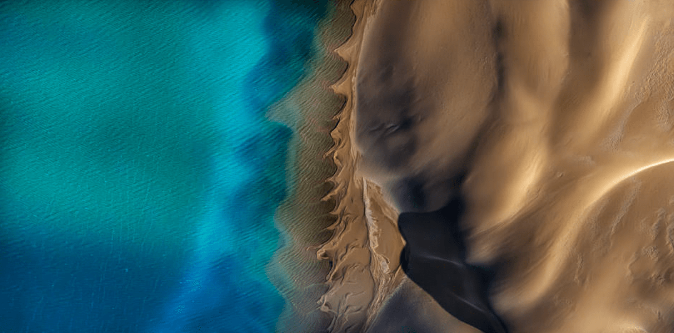 Where sea and sand meet, a spine forms.