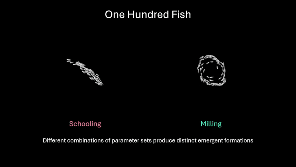 Images of one hundred fish in two different schooling configurations: schooling (moving back and forth) and milling (rotating about a central point). Text reads, "One Hundred Fish. Schooling. Milling. Different combinations of parameter sets produce distinct emergent formations."