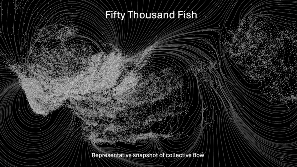 Image showing the collective flow of fifty thousand fish. Text reads, "Fifty Thousand Fish. Representative snapshot of collective flow."