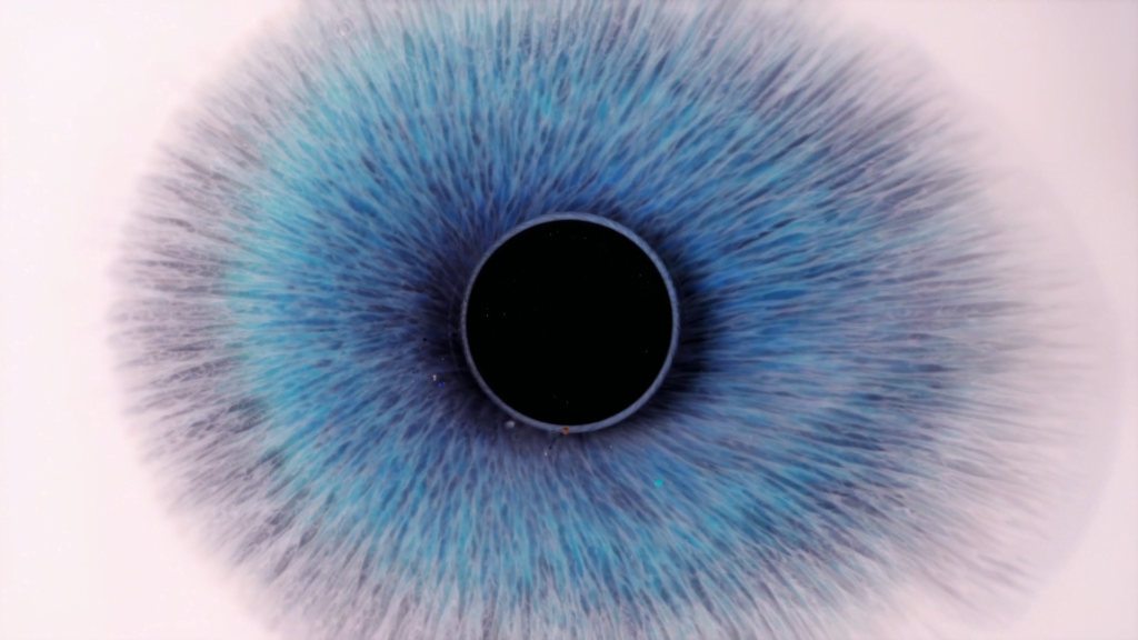 From "I See You" by Rus Khasanov. From "I See You" by Rus Khasanov.