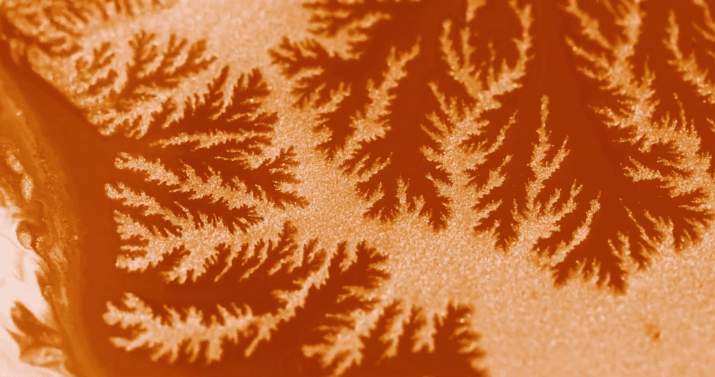 Image from "Sensations" by Thomas Blanchard. Image from "Sensations" by Thomas Blanchard.