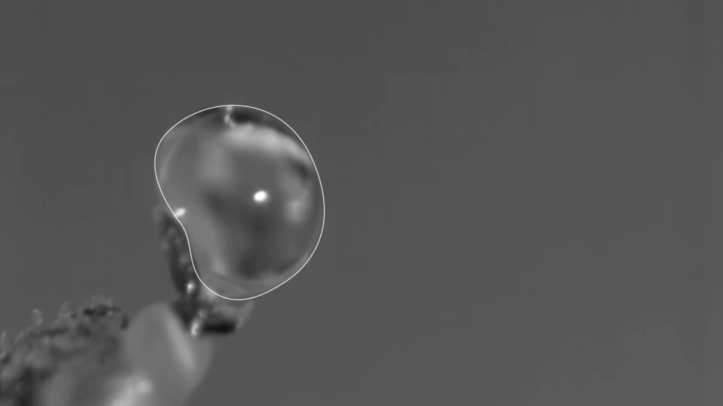 And then it gets launched!